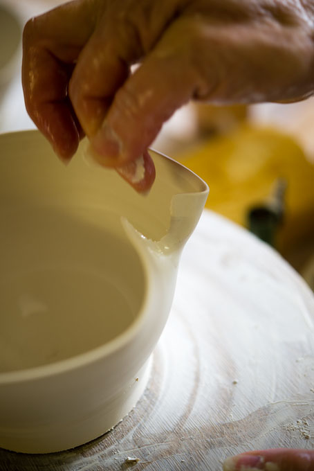 Ros Perton in her studio 2016